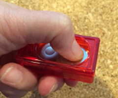 Clicker Training Dogs