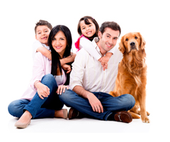 Best Dog Training Books