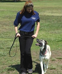 Three Behaviors All Dogs Should Know