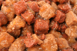 Prescription Dog Food