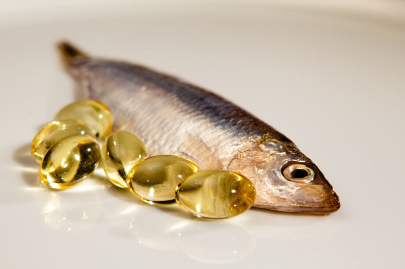 Fish Oil for Dogs