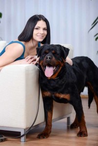 Finding a Rental with a Large Dog