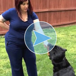 Teaching Collar Pressure