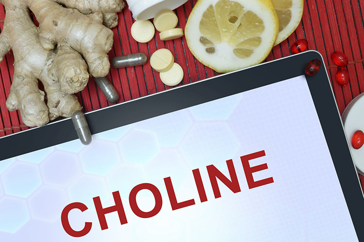 Choline Supplements for Dogs