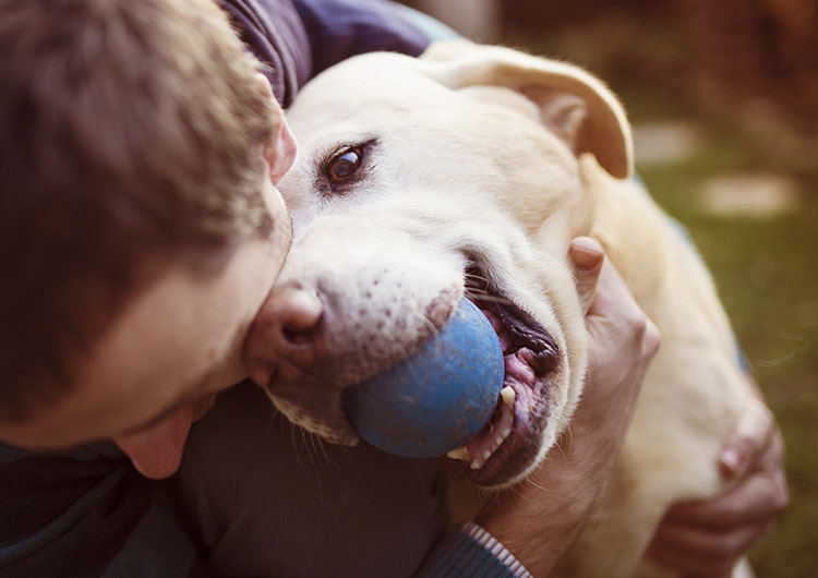 7 Responsible Dog Ownership Tips | Dog Training Nation