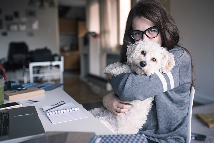 4 Tips to Make Working From Home With Dogs Easier