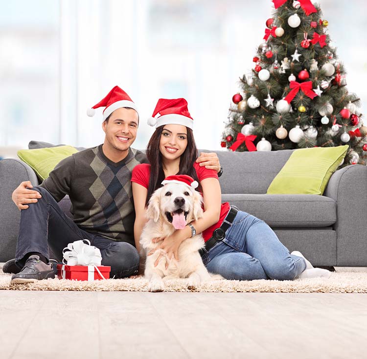 Gift Ideas for Dog Lovers